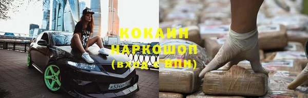 хмурый Алзамай