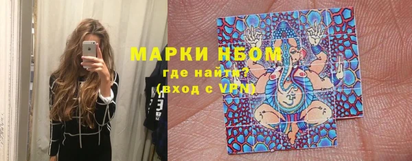 хмурый Алзамай