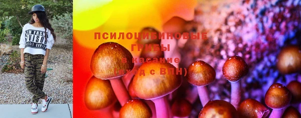 таблы Алексин